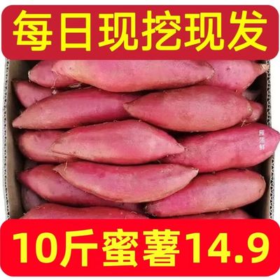 新鲜蜜薯10斤板栗红薯沙