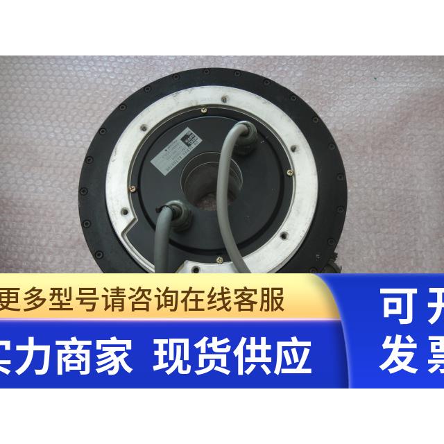 YOKOGAWA DM1100A00-1 询价