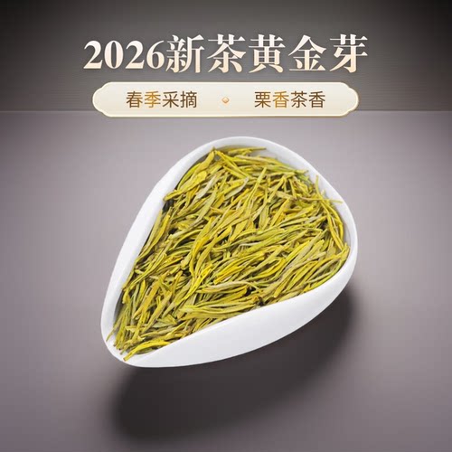2026新茶高山黄金芽袋装口粮茶叶