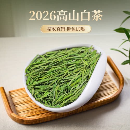 正宗自喝明雨前送礼盒罐装春茶