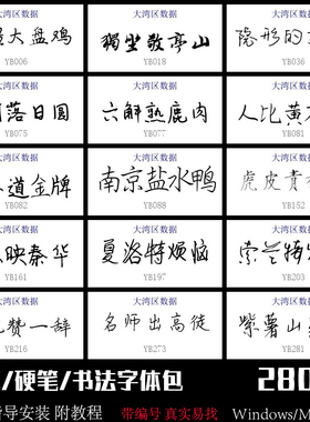 钢笔字体包下载硬笔手写书法PS剪映pr视频ai广告招牌美工安装Mac