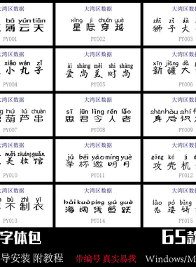 汉字拼音字体包汉语中文注音字库语文课本素材库带声调下载mac