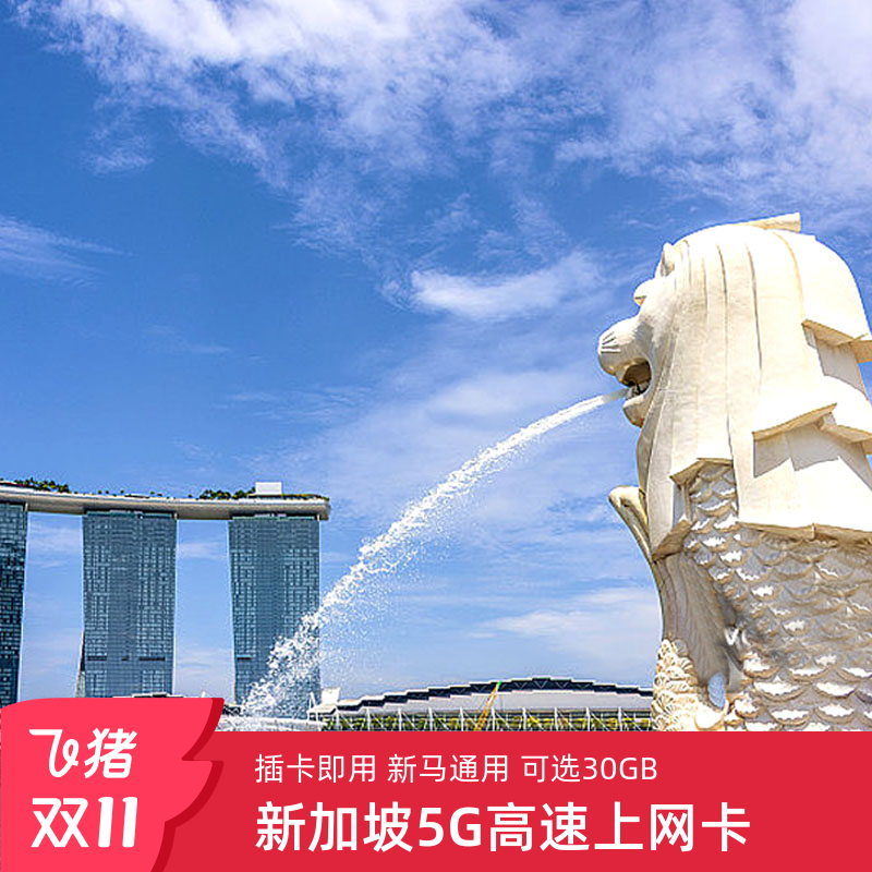 新加坡电话卡