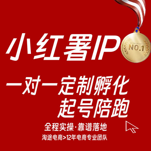小红xhs书推广红薯运营品牌策划内容笔记营销IP打造起号1v1陪跑