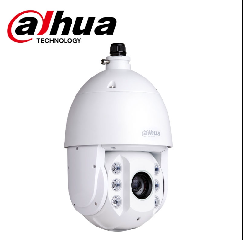 大华200万1080P白光网络球机6寸室外监控彩色摄像头 DH-SD6220-B