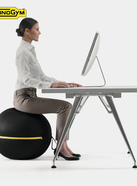 泰诺健Technogym家用坐姿健身球Wellness Ball带布套瑜伽球 进口