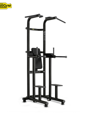 Technogym泰诺健引体向上屈臂撑抬腿单双杠训练器PA12健身 进口