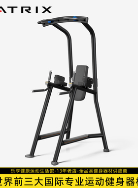 乔山MATRIX双杠提膝收腹训练器MG-A63C专业家用引体向上健身器材