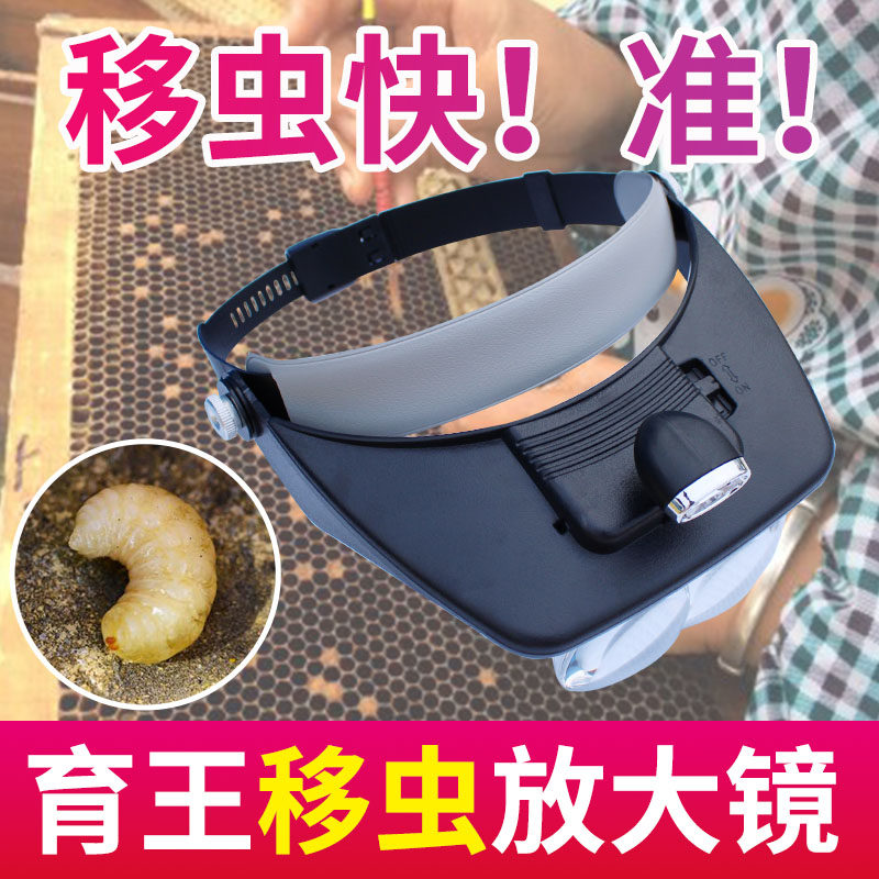 蜜蜂移虫放大镜LED头灯头戴式放大镜养蜂育王移虫专用养蜂工具