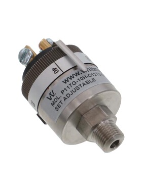 P117G-10H-C12TS-DIS  Whitman Controls, LLC