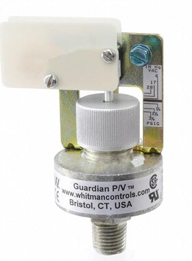 P88C-2-C10TB  Whitman Controls, LLC