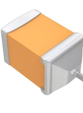 F950G157MPAAQ2 F950G227MQAAQ2 F950G227KAAAQ2