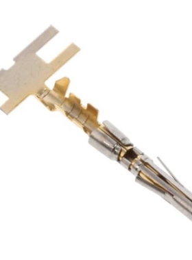 SS20W1F SS20W2F SS24M1F