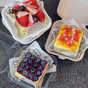 网红提拉米苏包装盒切件蛋糕切块巴斯克固体杨枝甘露千层打包烘焙