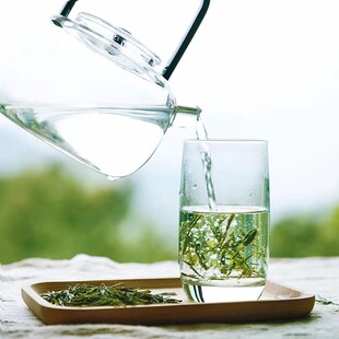 六枝特产 九层山精品绿茶T3 高山茶叶100g