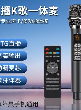 无损音质M3麦克风话筒声卡一体麦家用直播全民K歌无线话筒唱歌H20