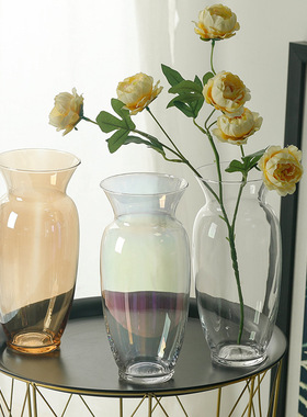 ins风简约复古中古玻璃花瓶水培鲜花插花器家居摆件桌面装饰道具