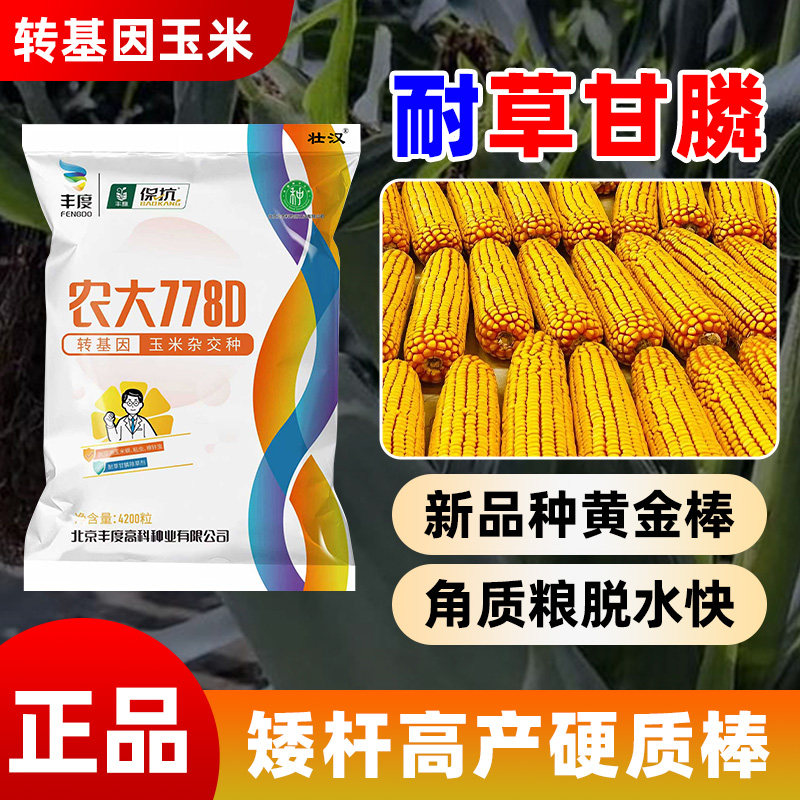 转基因高产玉米种子矮杆抗倒抗旱耐草甘膦抗虫大棒农科院苞米种