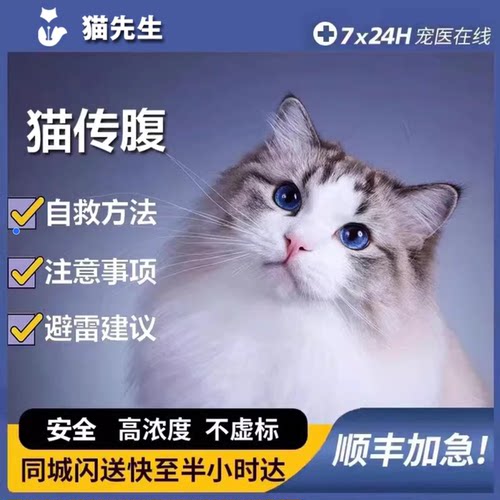 喵咪传腹针剂猫传腹针剂干湿性消腹水腹膜炎抑制剂水油性口服片剂