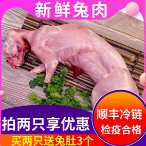 新鲜兔肉当天兔子顺丰快递营养