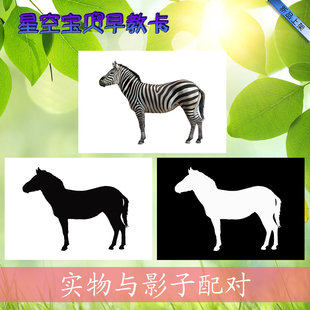 影子配对实物日用品水果自闭症孤独症认知卡儿童早教训练塑封卡片