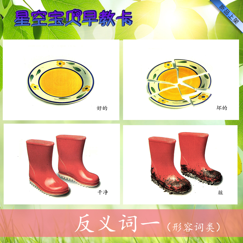 实物形容词孤独症发育迟缓卡片