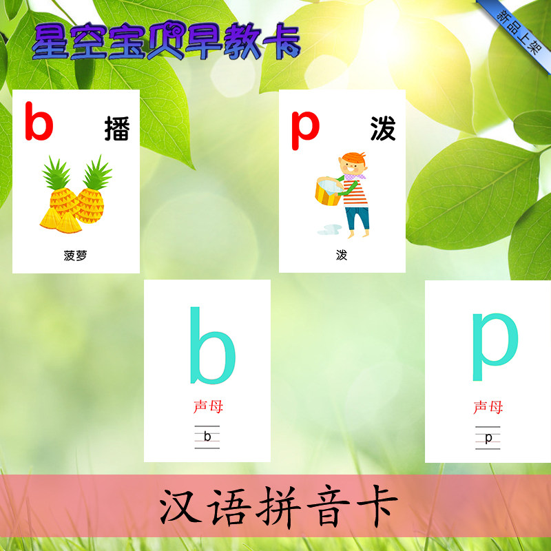 幼儿园早教汉语拼音卡塑封卡片自闭症孤独症语言训练卡声母韵母