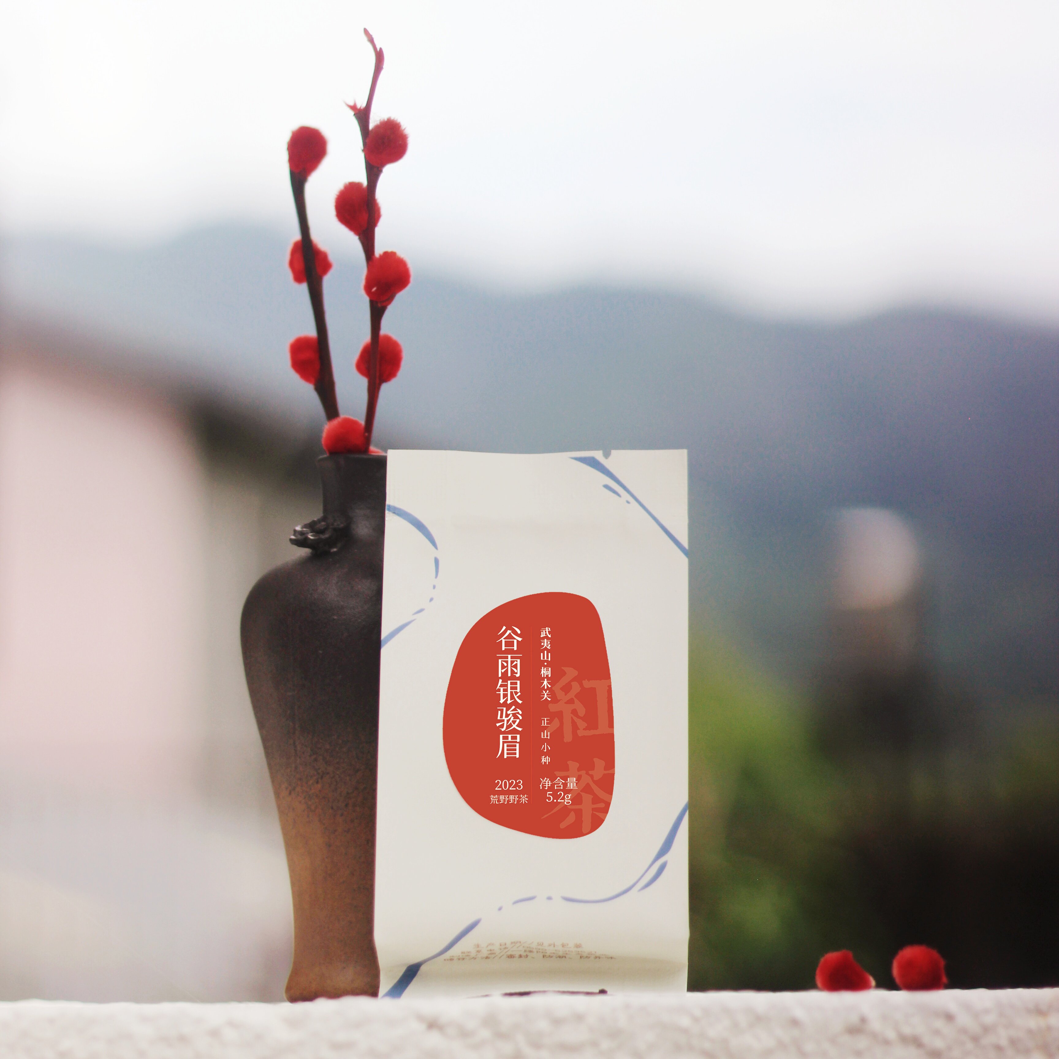[南唐拾茶] 谷雨银骏眉 | 正山小种 桐木野生菜茶 蜜香红茶