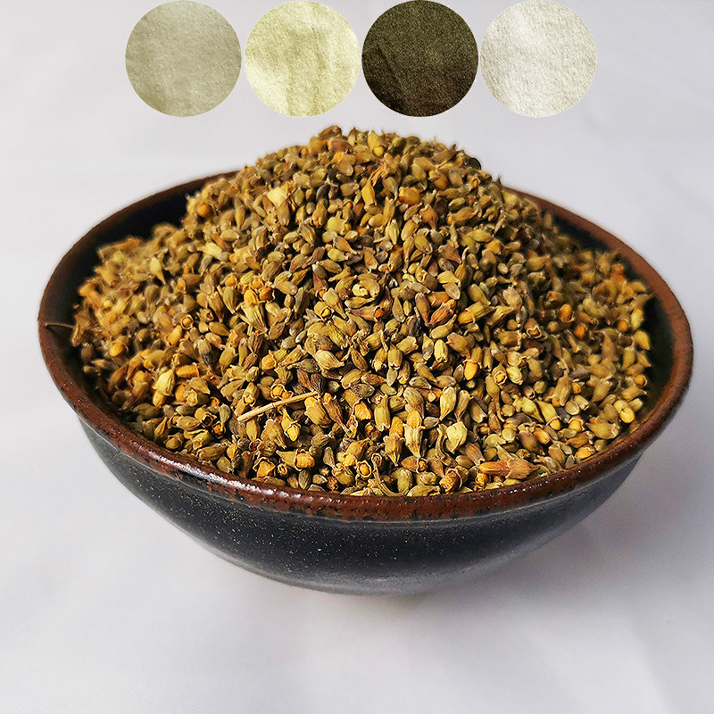 槐米槐花 草木染天然植物染料扎染材料 手工diy嫩黄深绿送教程