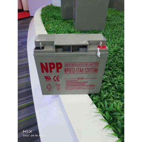 NPP耐普蓄电池NPG12-100AH普通干电池12V100AH铅酸免维护系统电源