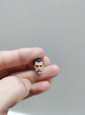 1/18 3.75SAS空勤团头雕 人偶 非真人