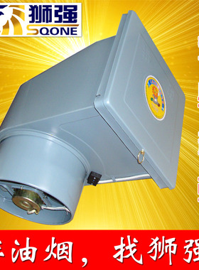 狮强S500A厨房油烟排气扇家用强力换气扇10寸窗式静音吸抽风机