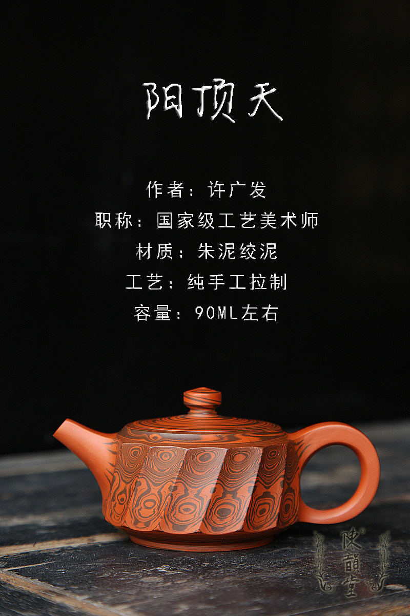 阳顶天许广发特色绞泥壶纯手工潮州手拉壶朱泥壶工夫茶茶陈韵堂