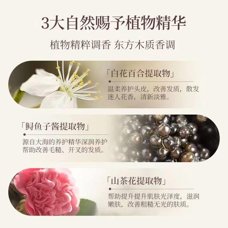 日本浅藤山茶花氨洗基松清酸香氛XSK发水沐浴露爽蓬护发素柔顺亮