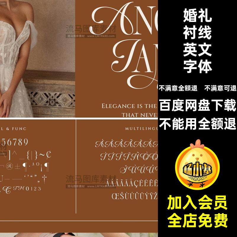 婚礼衬线英文字体杂志安装包设计支持素材优雅PSAI品牌标题现代