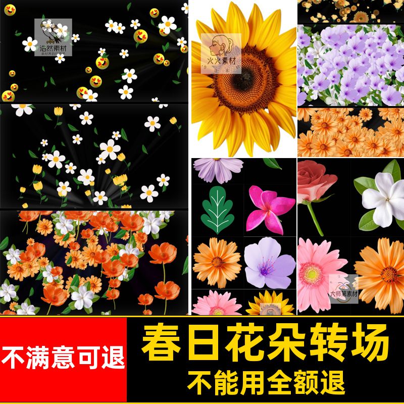 绿叶花朵转场动画装饰效春日花卉素材模板视频时光AE鲜花春日动