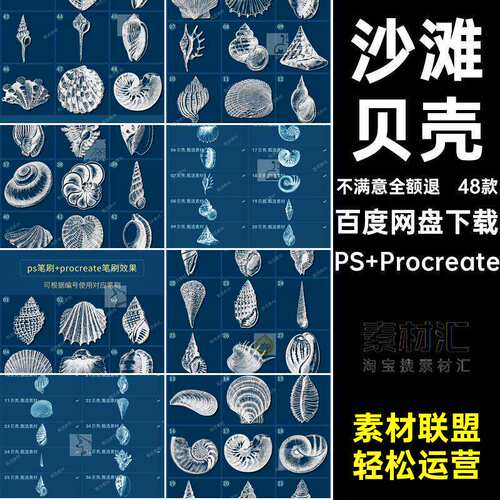 沙滩贝壳元素48款笔刷海螺复古扇procreate复古海螺p