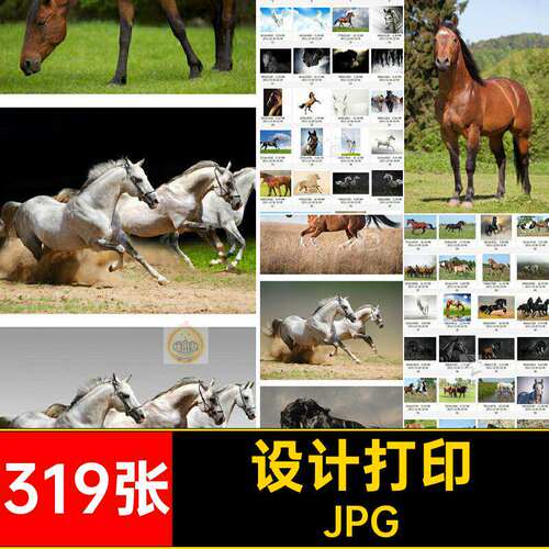 骏马图片素材设计JPG319张打印喷绘生物美工宝马奔跑高清的