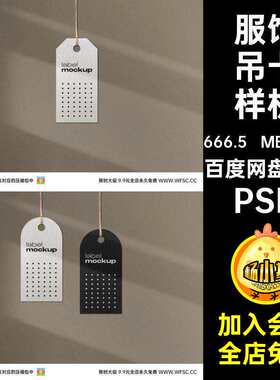 牌子吊牌样机价格服饰图片效果13套psd卡片服装PSD模板P