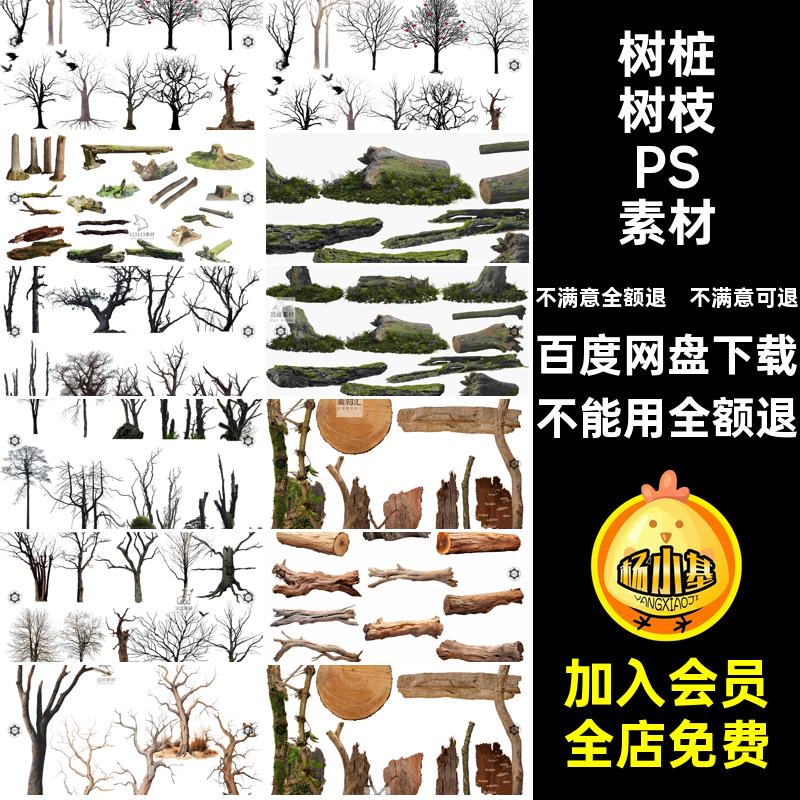 树干树枝PSD素材枯树枯木ps植物树皮效果图树桩木头免抠苔癣PSD