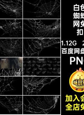 自然蜘蛛网免扣PNG免扣图片网状素材白色200款逼真背景蜘蛛丝纹理