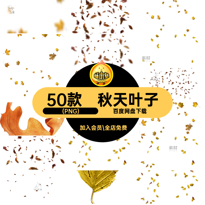 秋天落叶海报效果飘落效果合成的50款(PNG)背景秋季叶子图的落叶