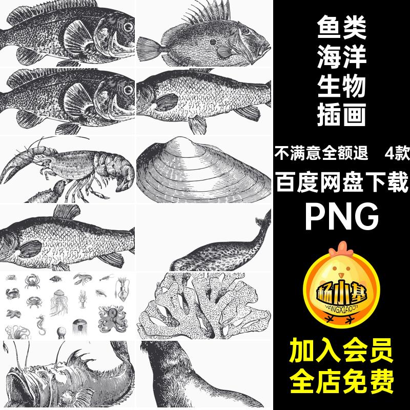 黑白海洋生物插画PNG章鱼矢量图鱼类复古手绘4款PNG动物PNG海豹