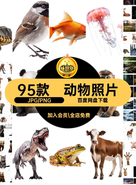 兔子套装免95款拼贴剪动物场景PNG照片狗小猪扣猴子贴画艺术