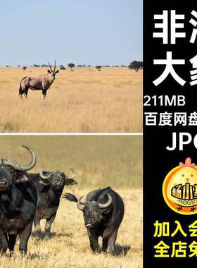 非洲景观风光旅游自然风景大象草原动物人文沙漠照片JPG图片素