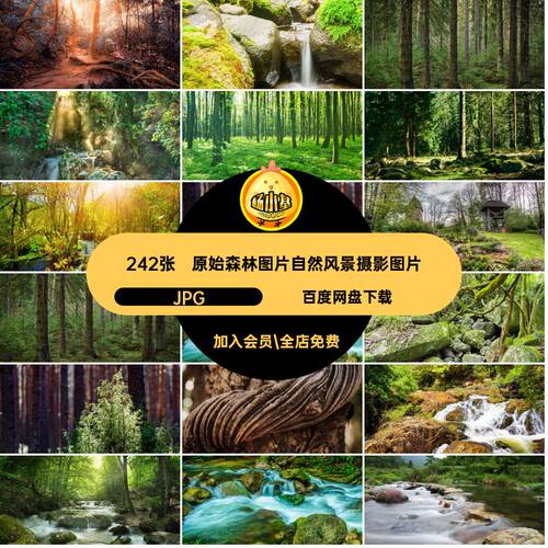 雨林打印JPG原始242张山林高清素材自然风景树林森林公园图片喷绘