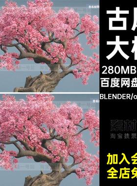 blender高质量fbx粉色红色obj樱花树老树花卉古风大树3d模型素材