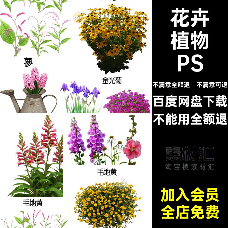 园林景观procreate花卉花镜花境地被植物PS效果图PSD免抠PNG素材