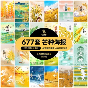 创意二十四24节气芒种节日宣传主题海报展板PSDAI设计素材模板