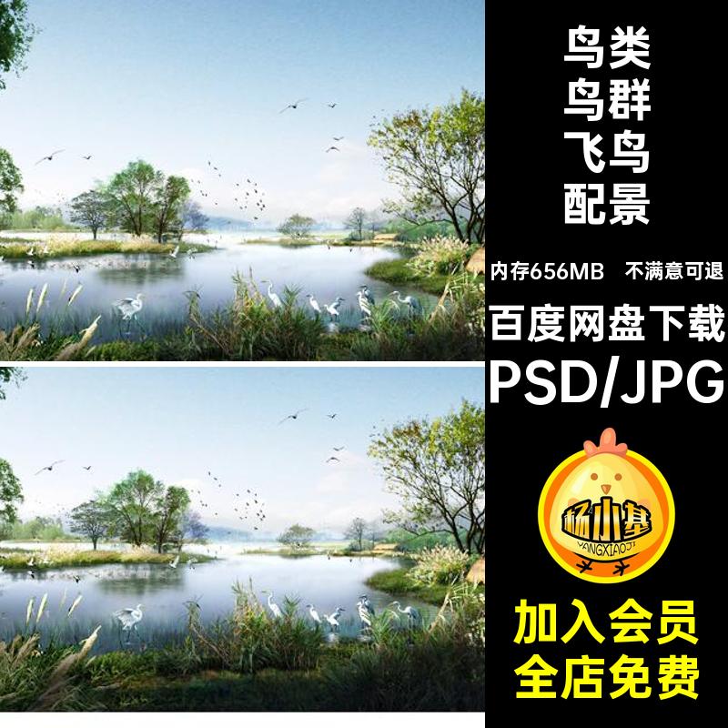 黑白鸟群飞鸟配景稿剪影后期鸟类线PS素材PSD鸟类鸟群配景免扣